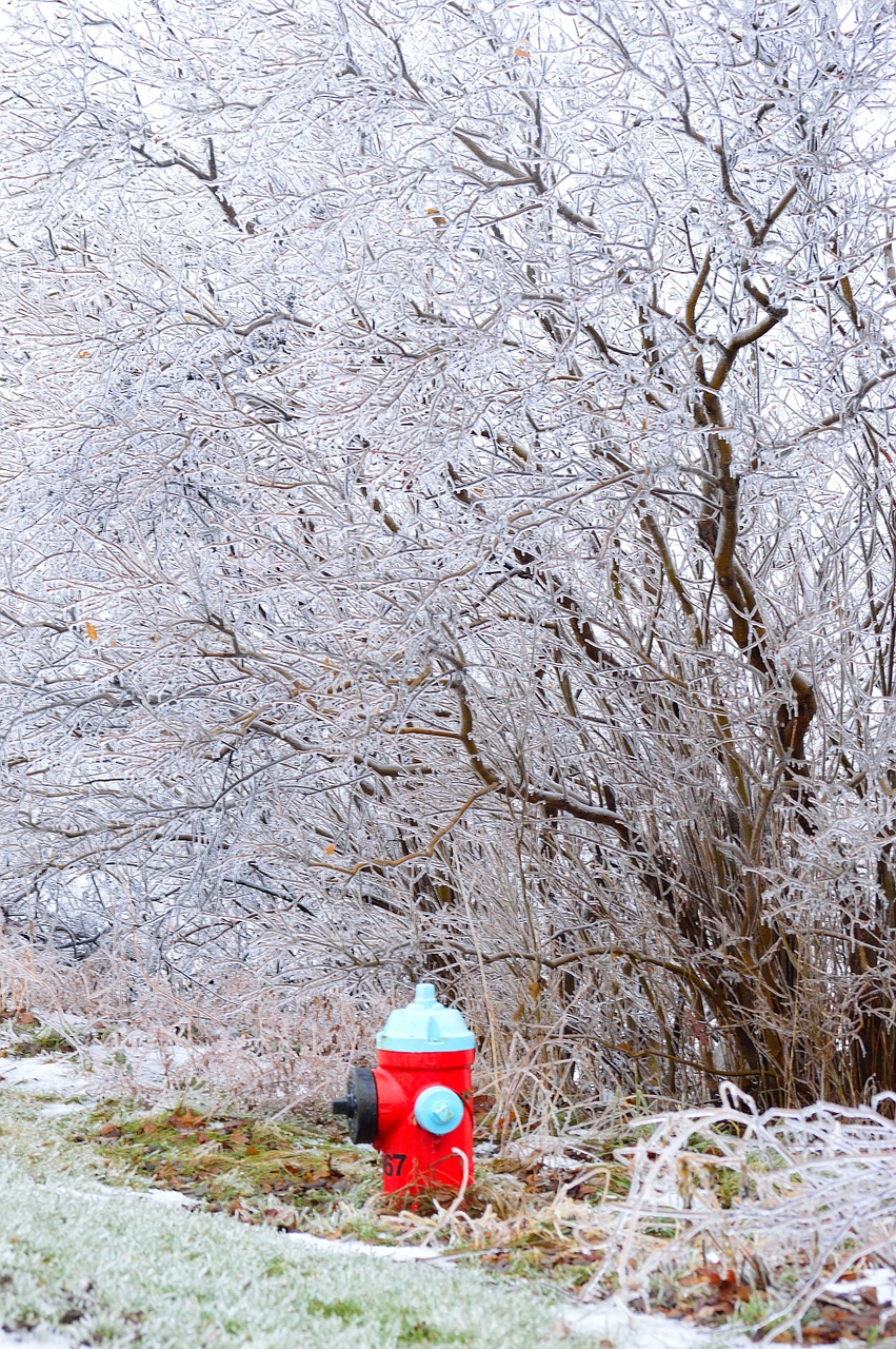 water hydrant ice branches free photo