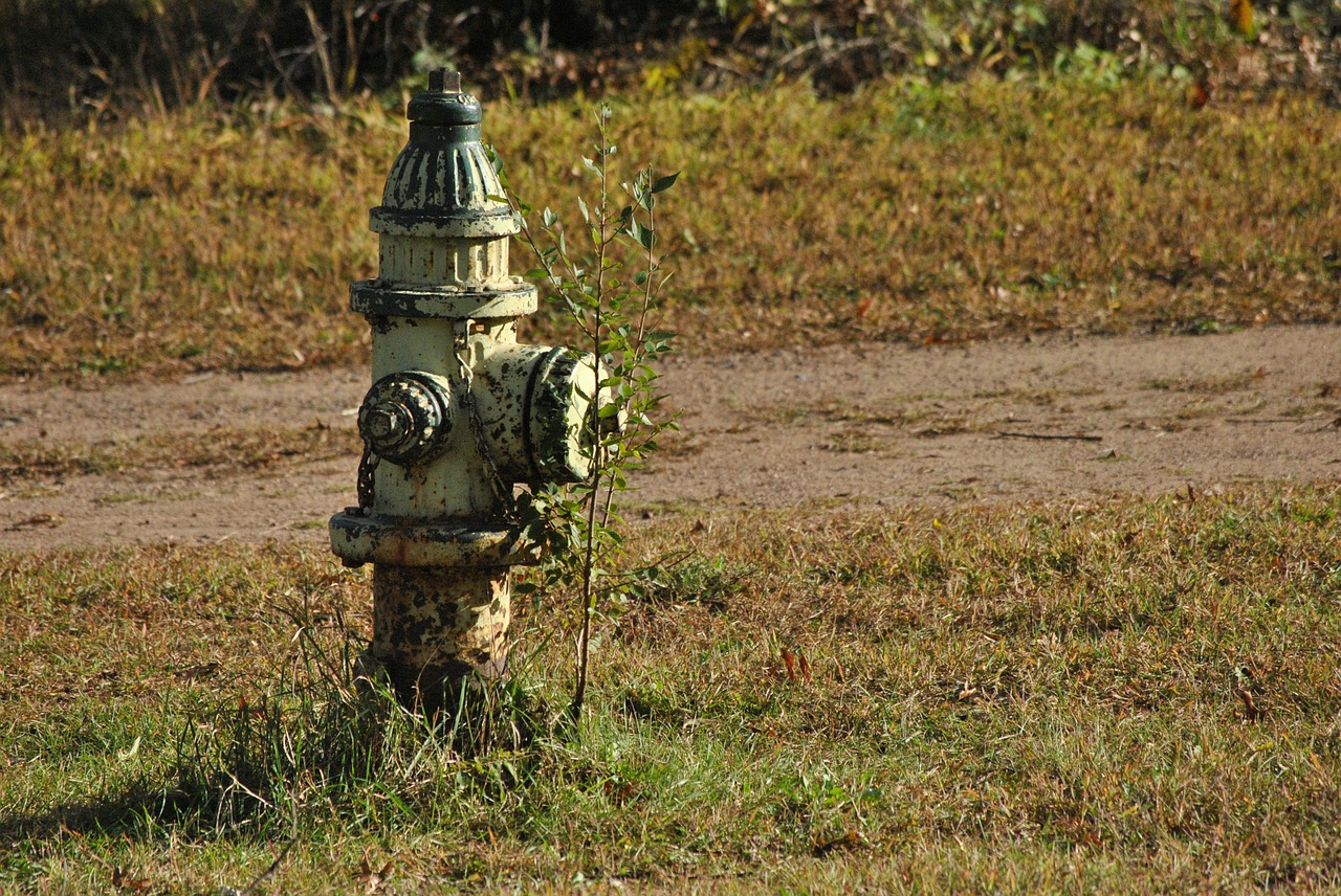 water hydrant hydrant fire hydrant free photo