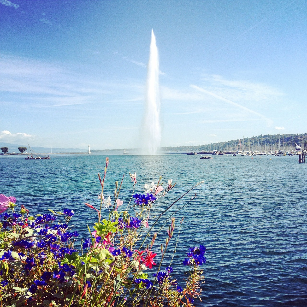 water jet geneva switzerland free photo