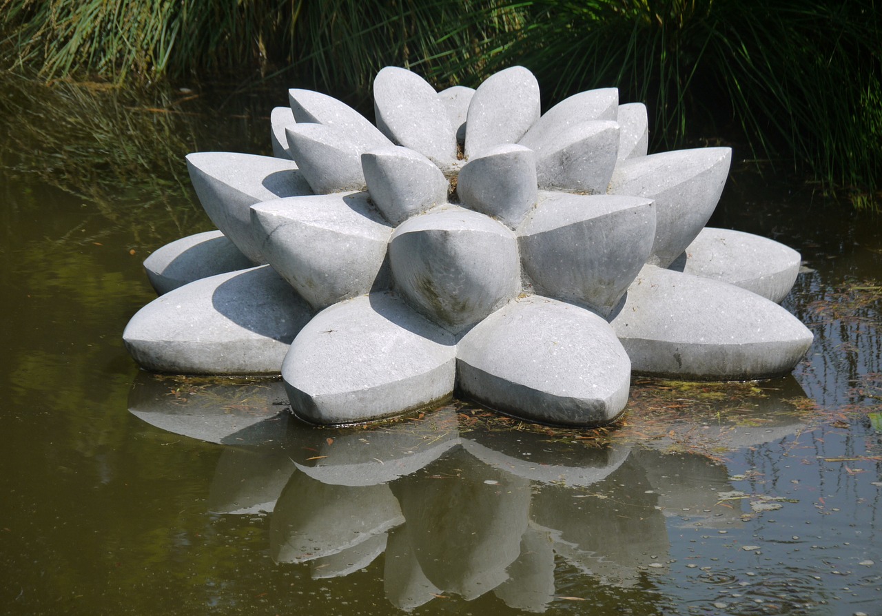 water lily stone sculpture free photo