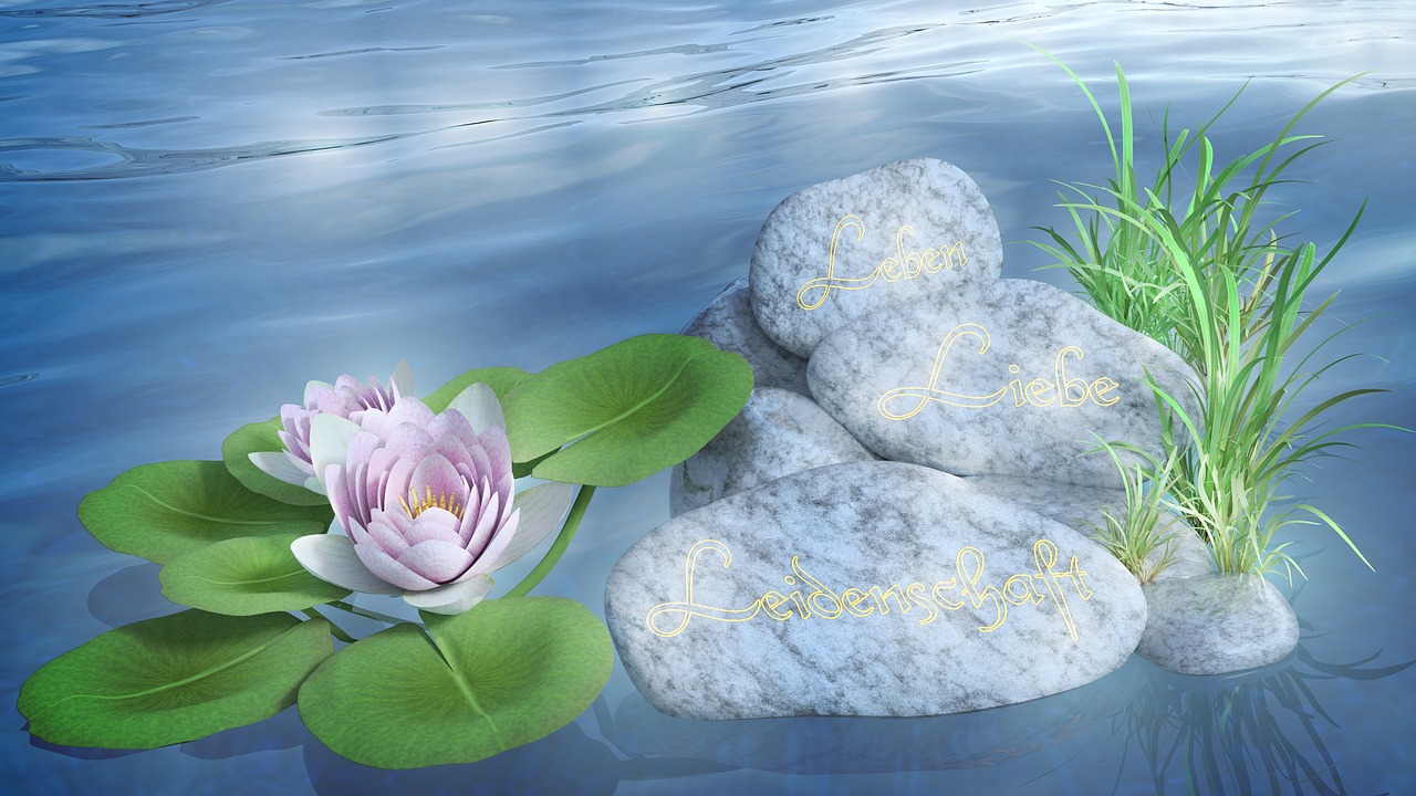 water lily stones love free photo