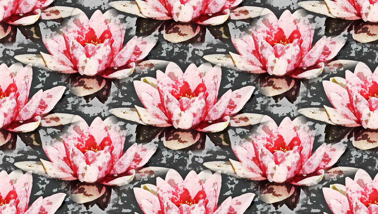 water lily background pattern free photo