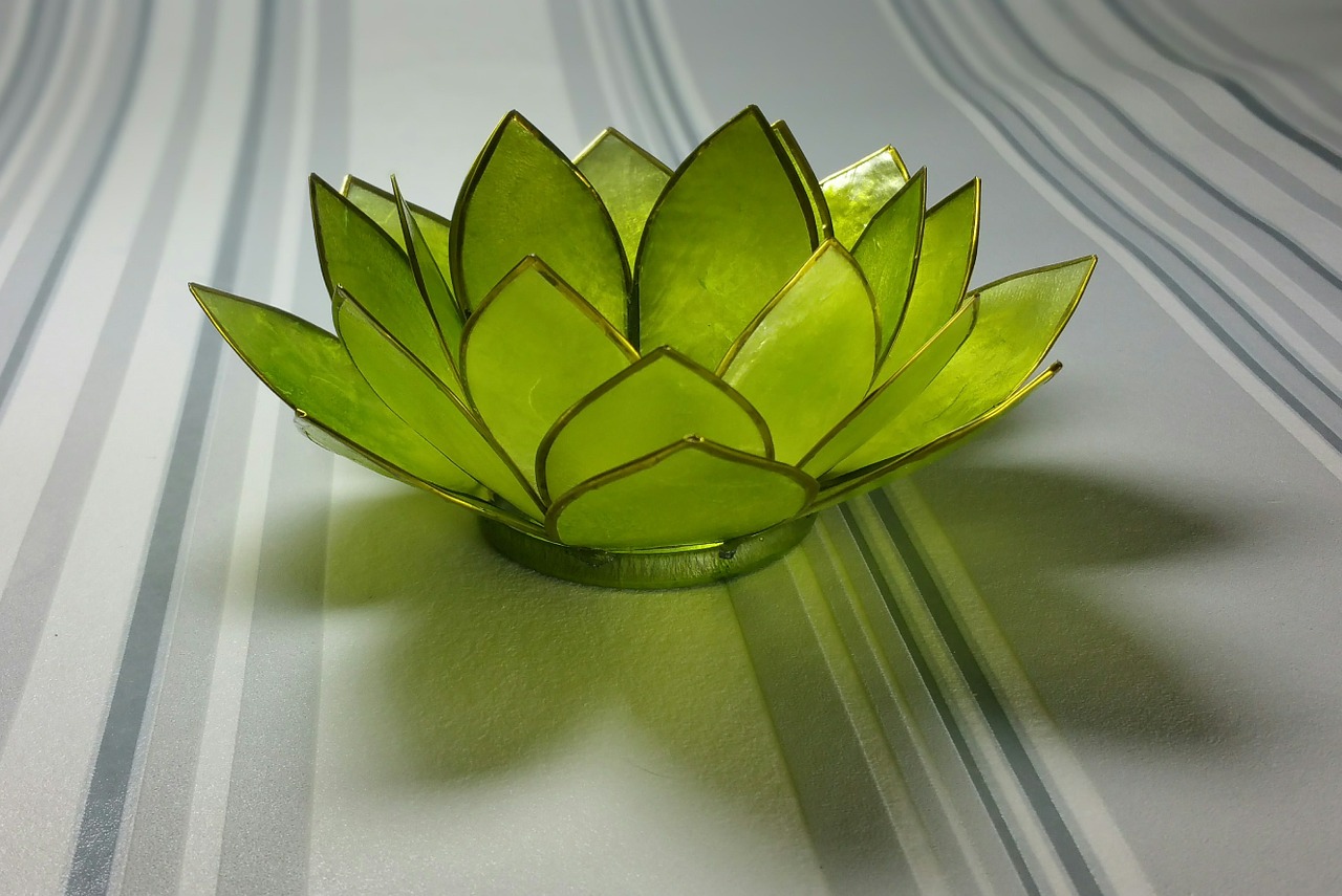 water lily glass green free photo