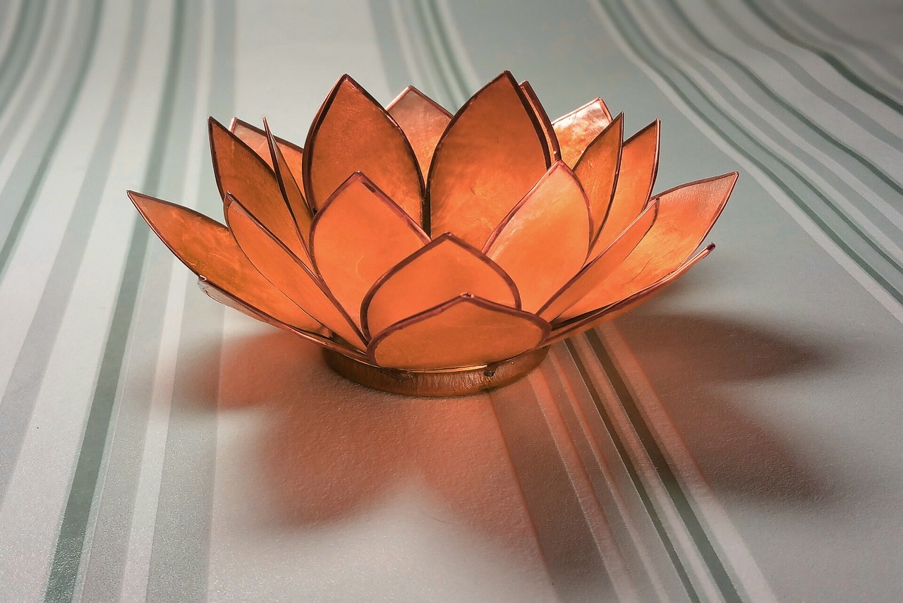 water lily glass orange free photo