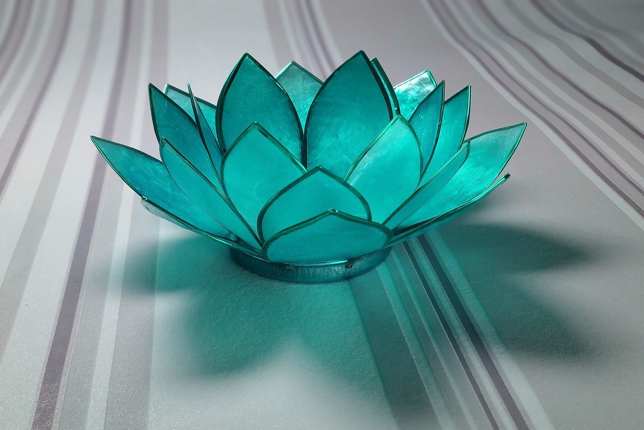 water lily glass light blue free photo