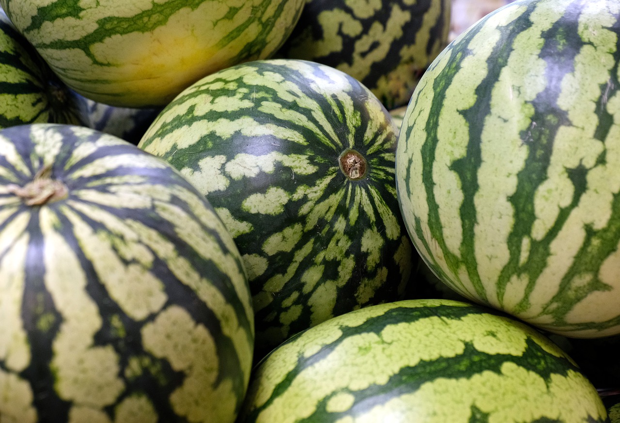water melons  melon  fruit free photo