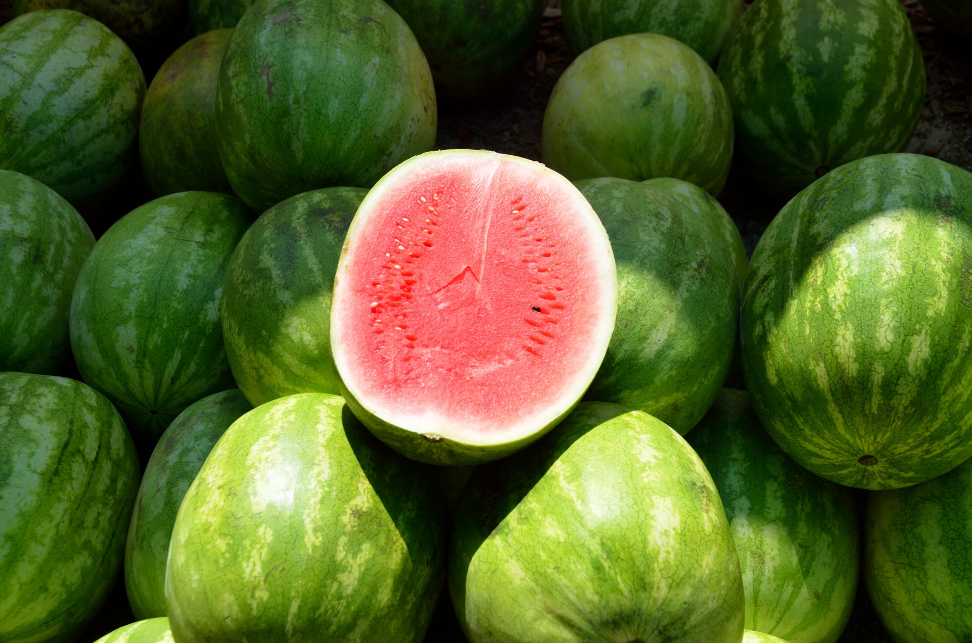 water melon ripe green free photo