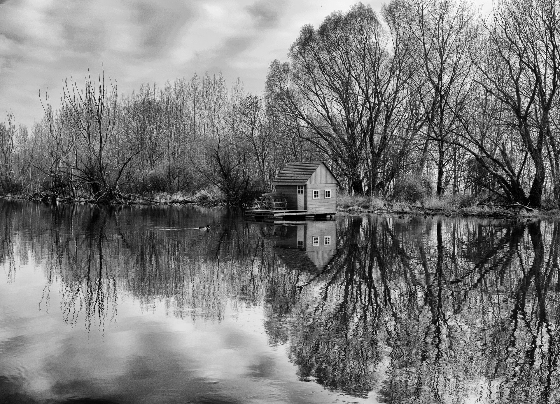 water mill slovakia free photo