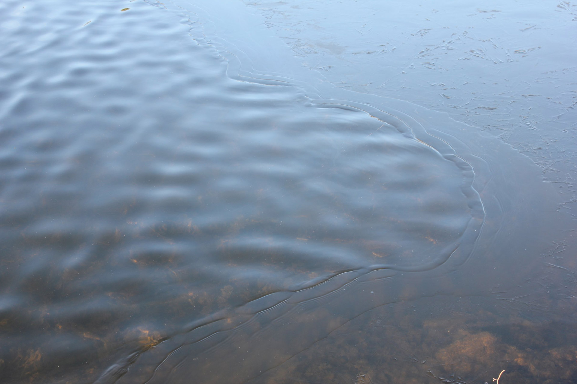 water texture patterns free photo