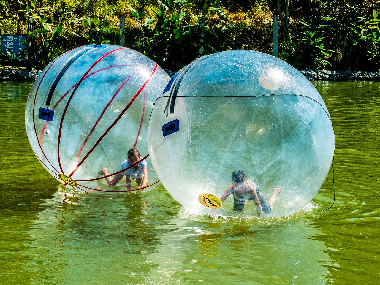 water polo water in the ball run free photo