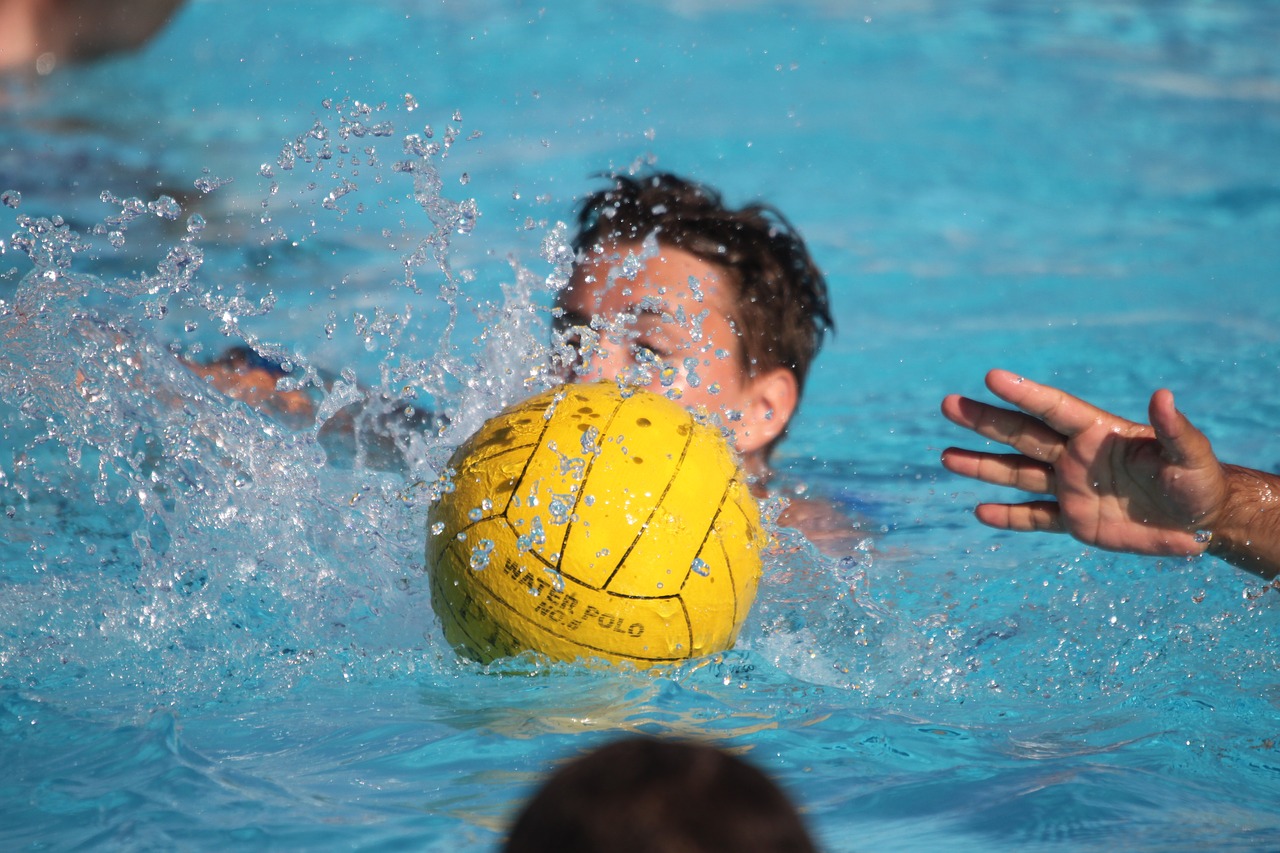 water polo  water  ball free photo