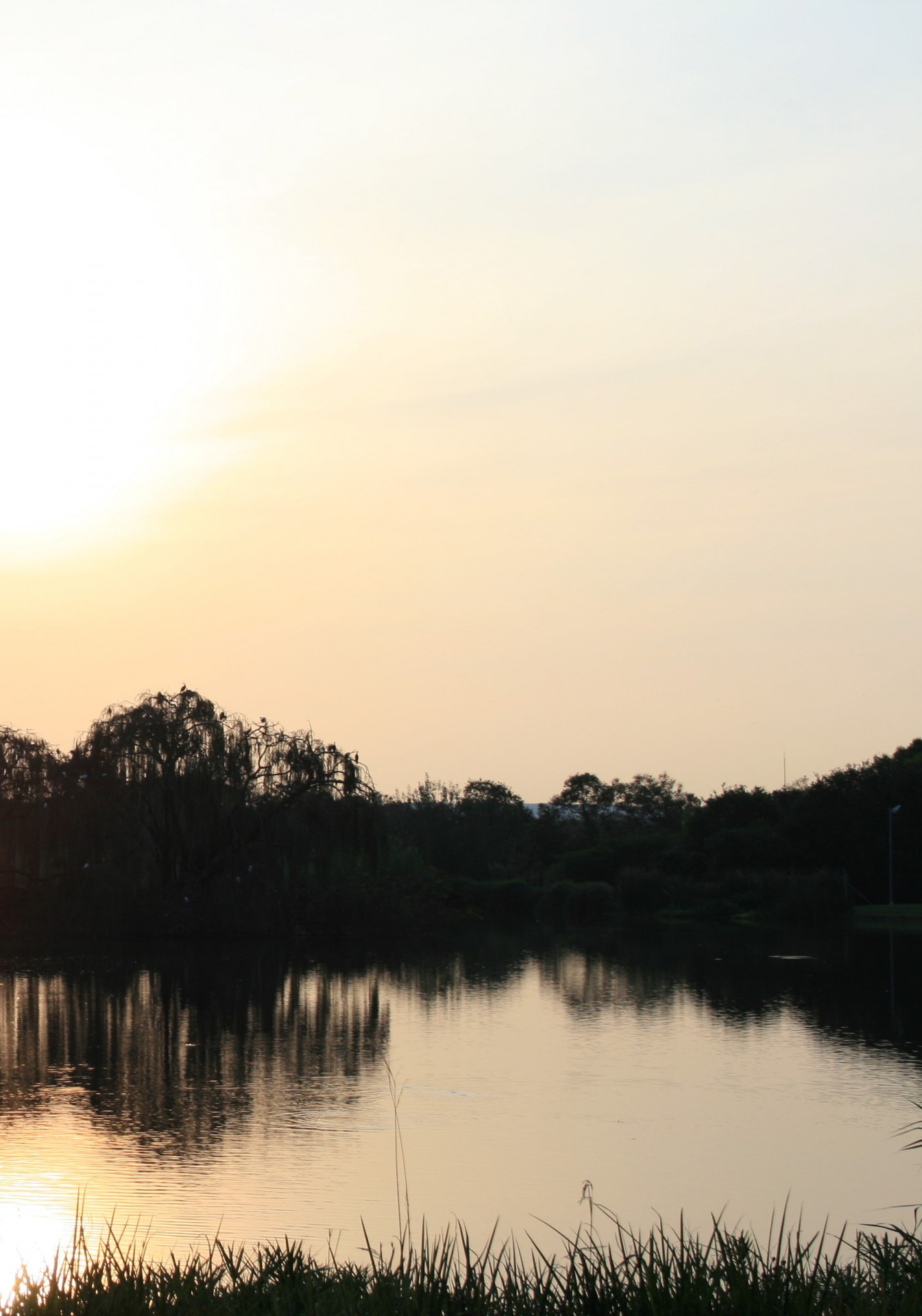 pond water dam free photo