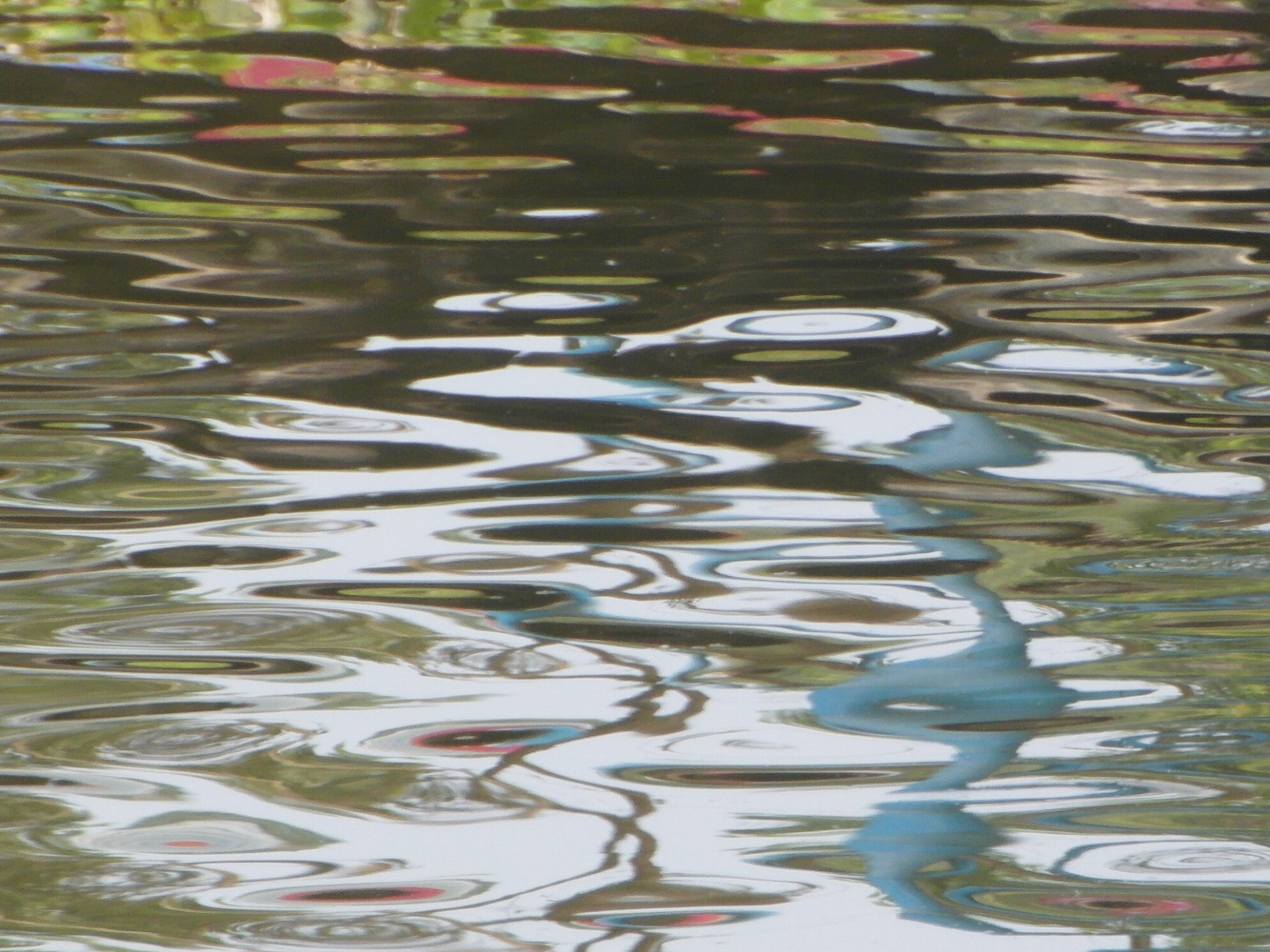 water ripples rippled free photo