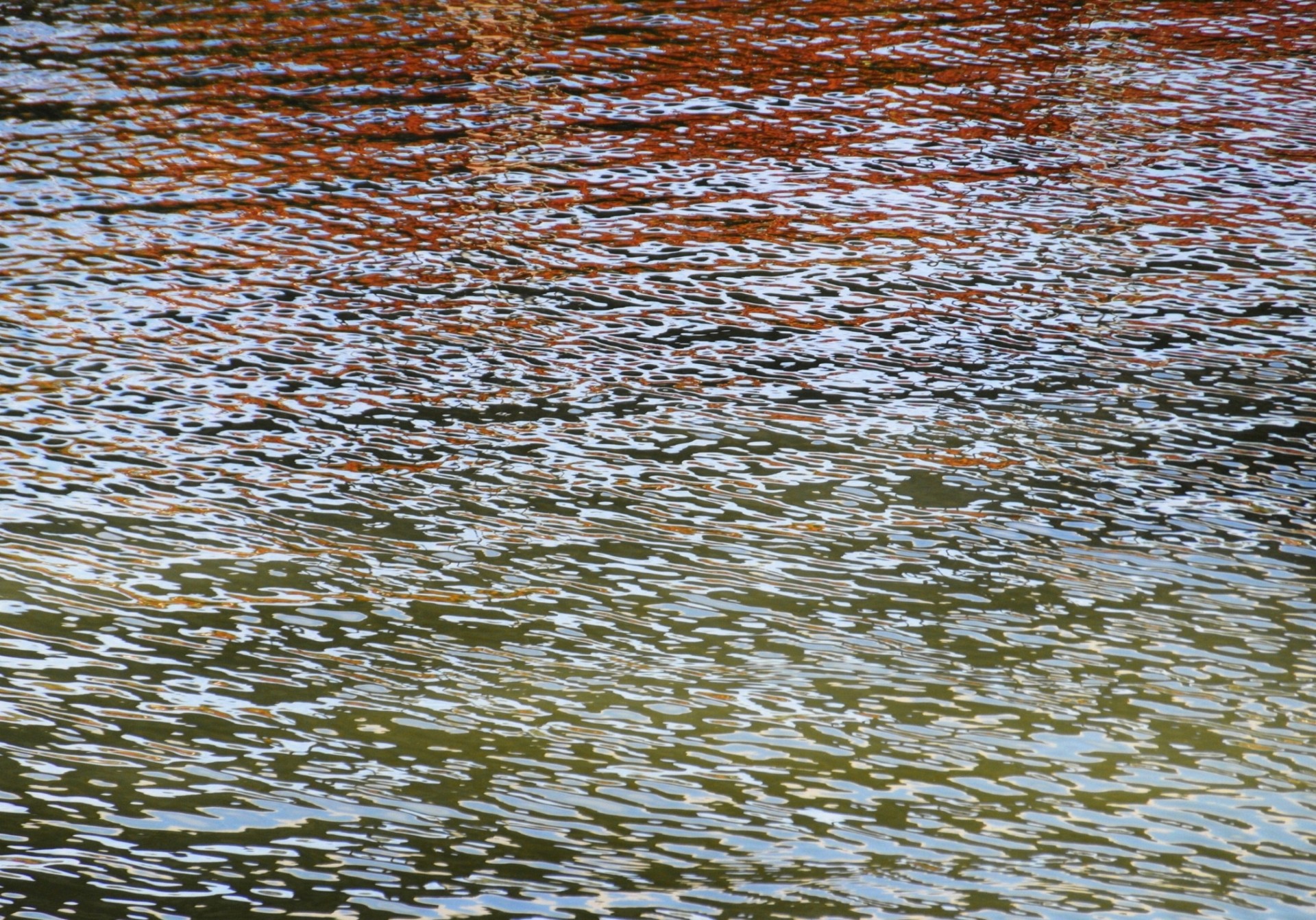 water ripples abstract free photo