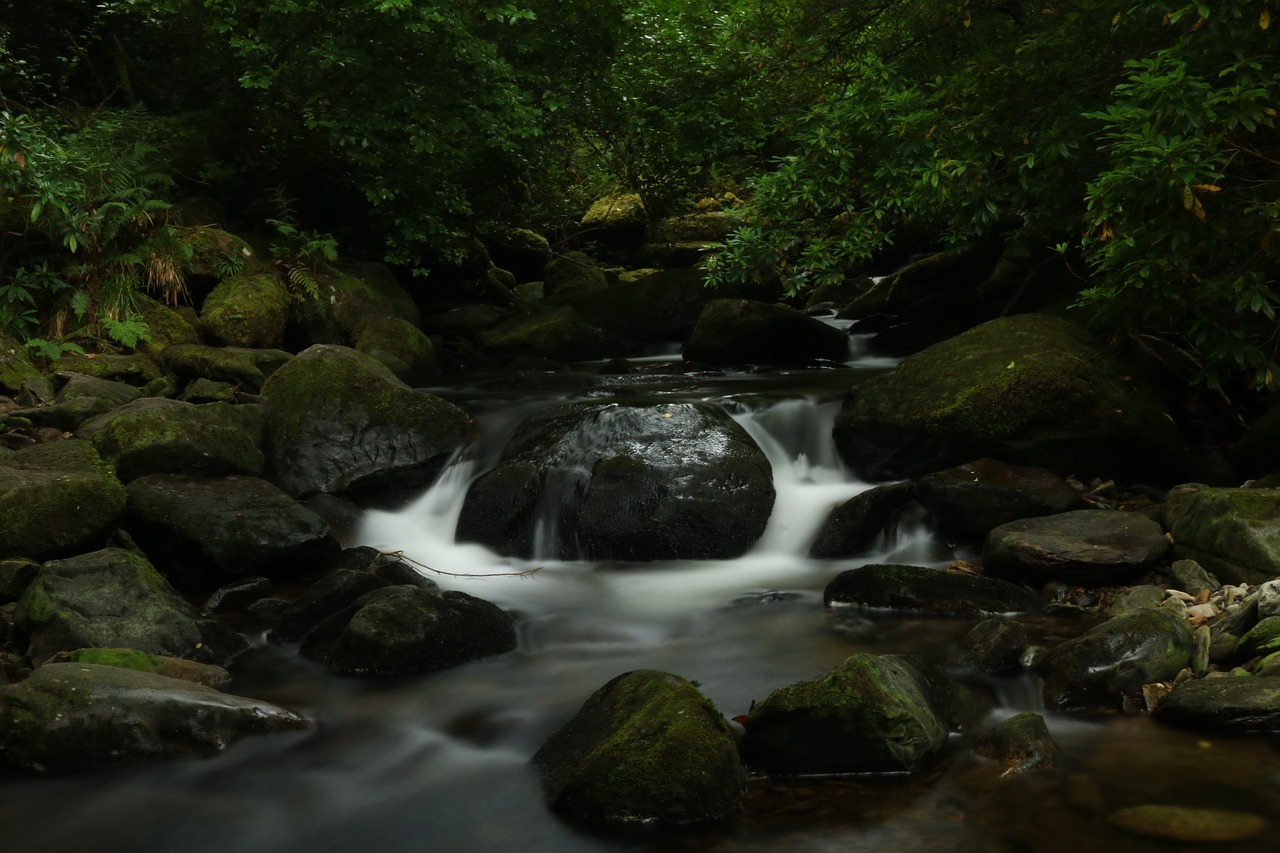 water running relaxation bach free photo