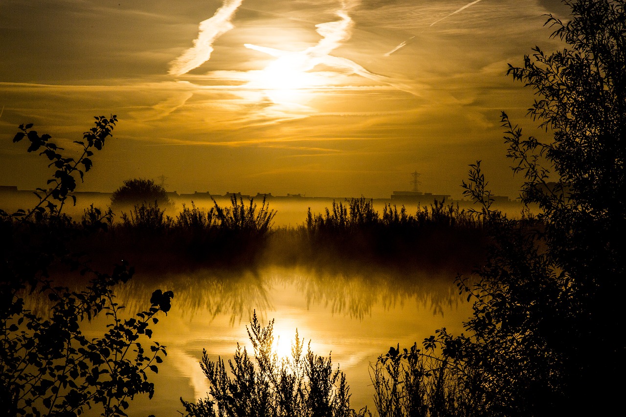 water source morning sun rays free photo