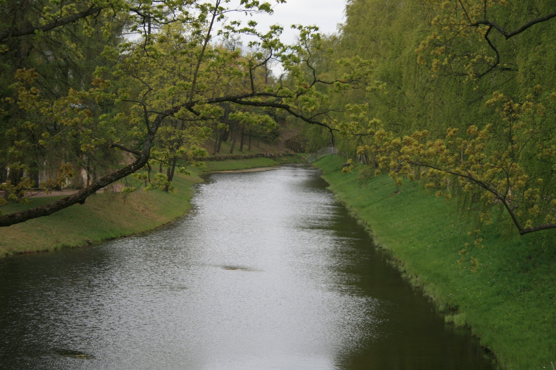 water stream shiny free photo