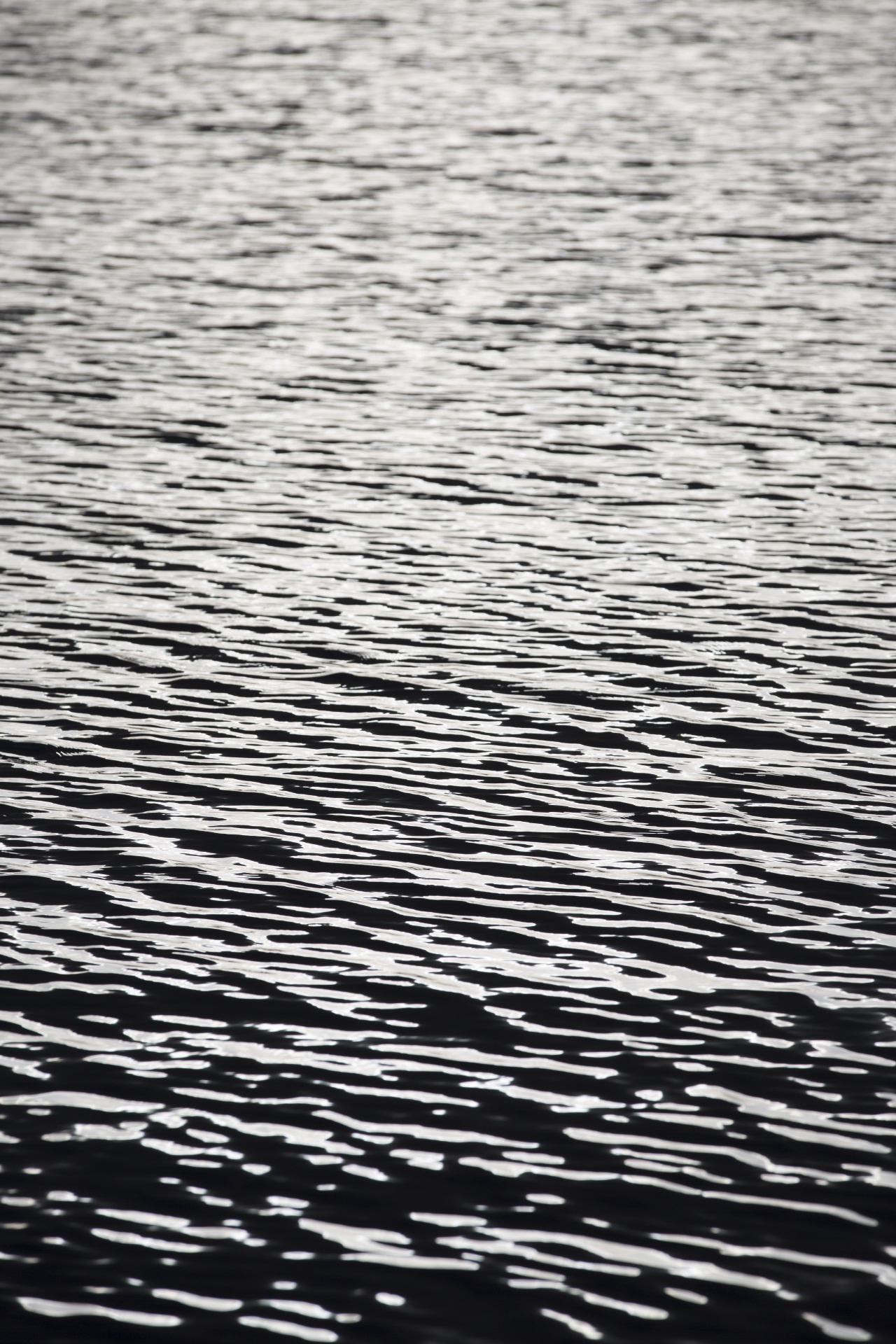 water sea background free photo
