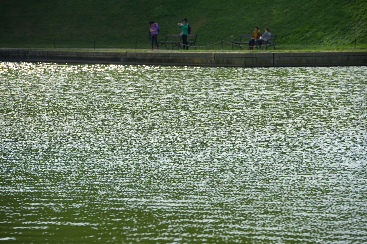 water surface  pond  nature free photo