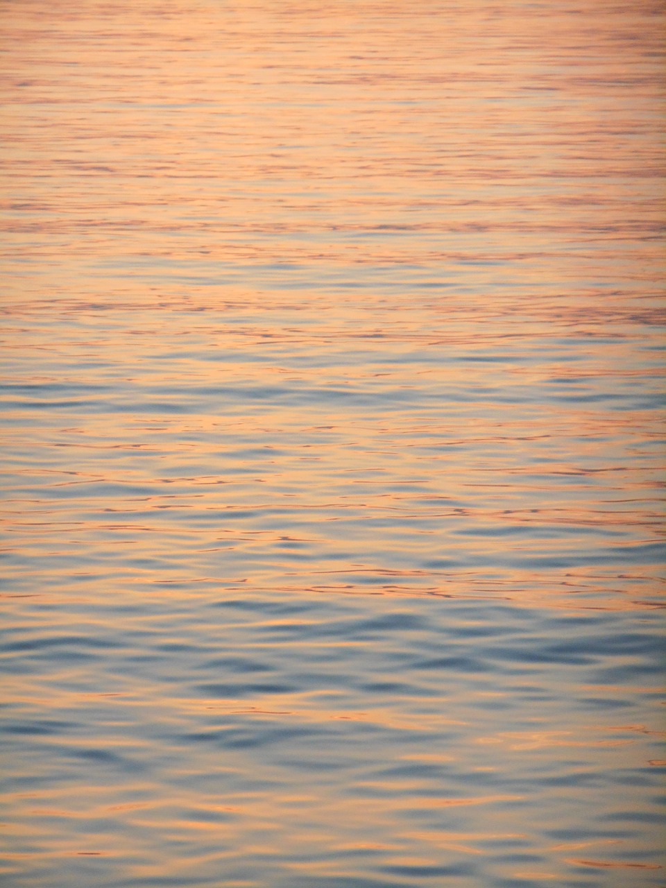 water surface sea evening free photo