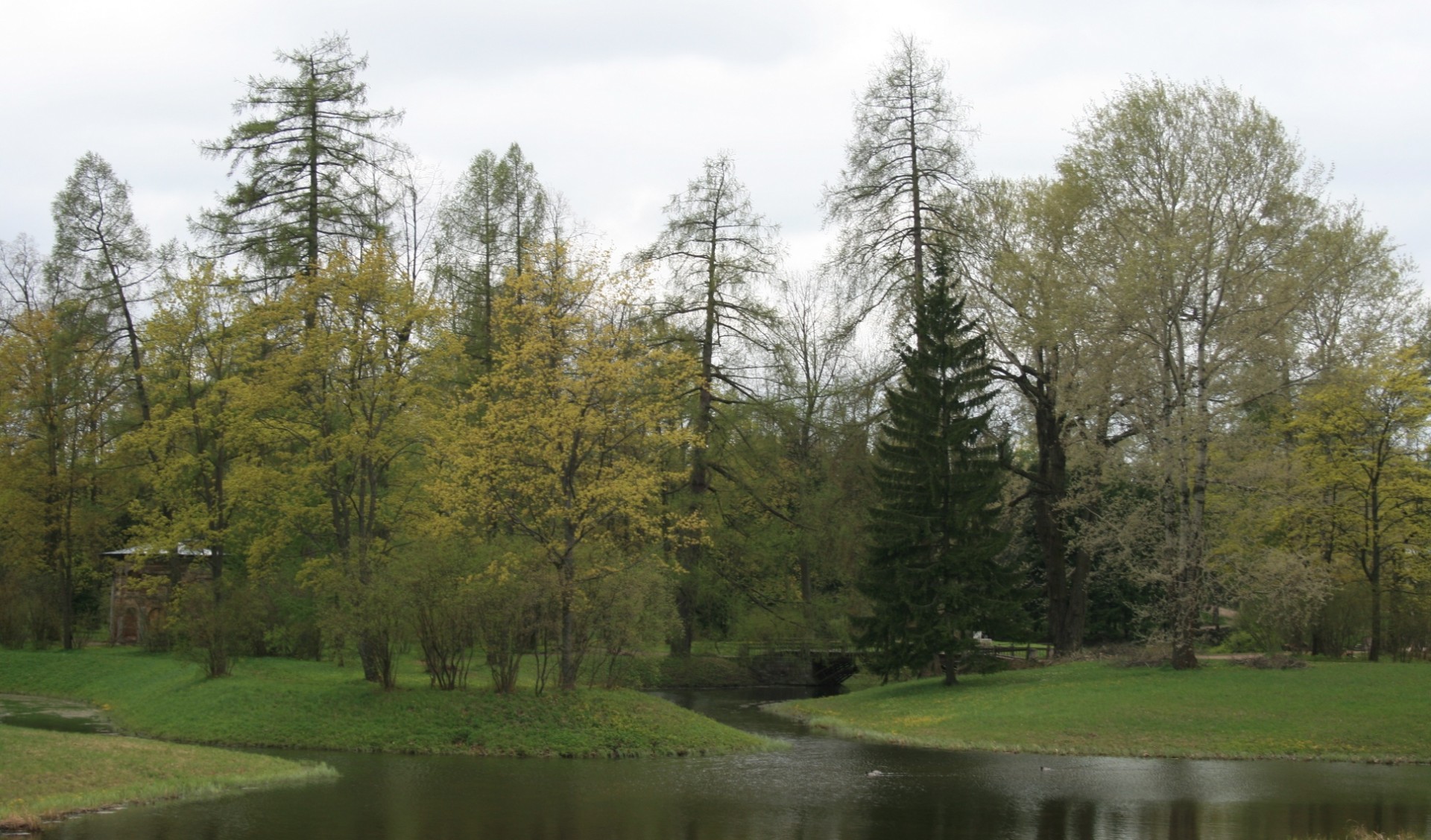 water pond streams free photo