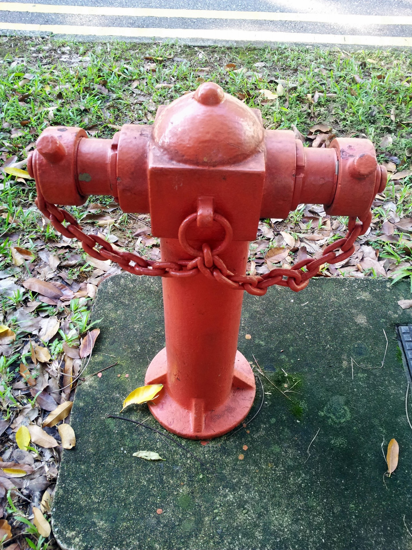 singapore water valve water tap cross shape water tap free photo