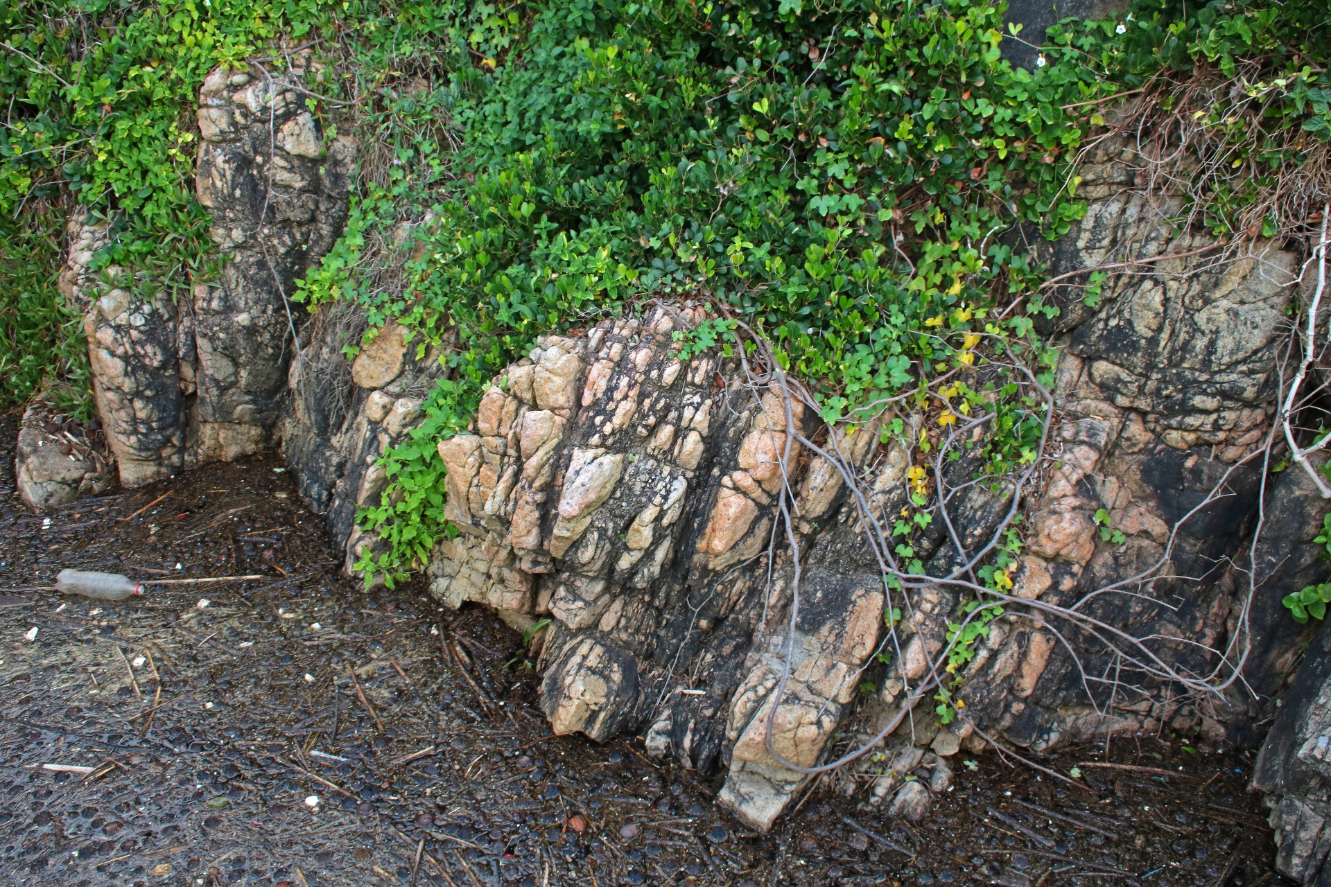 rock vegetation green free photo