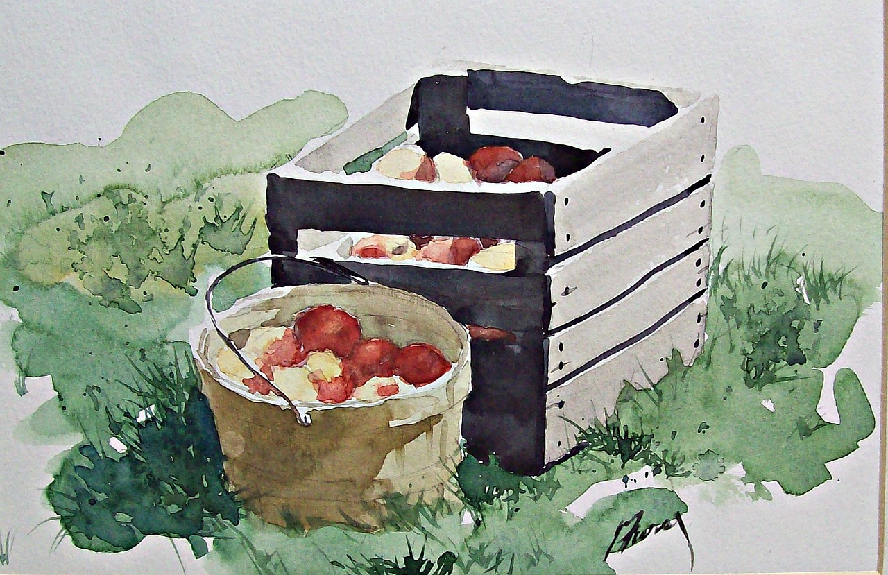 watercolor  painting  apples free photo
