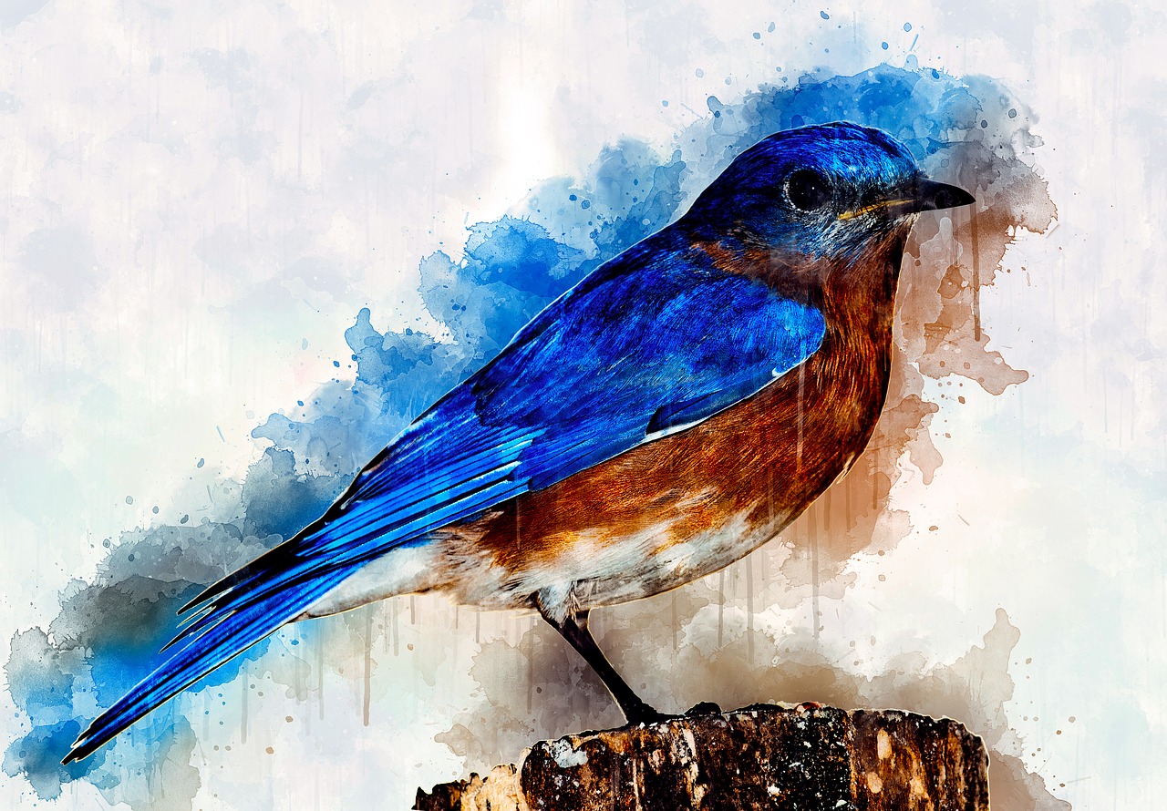 watercolor  bird  nature free photo