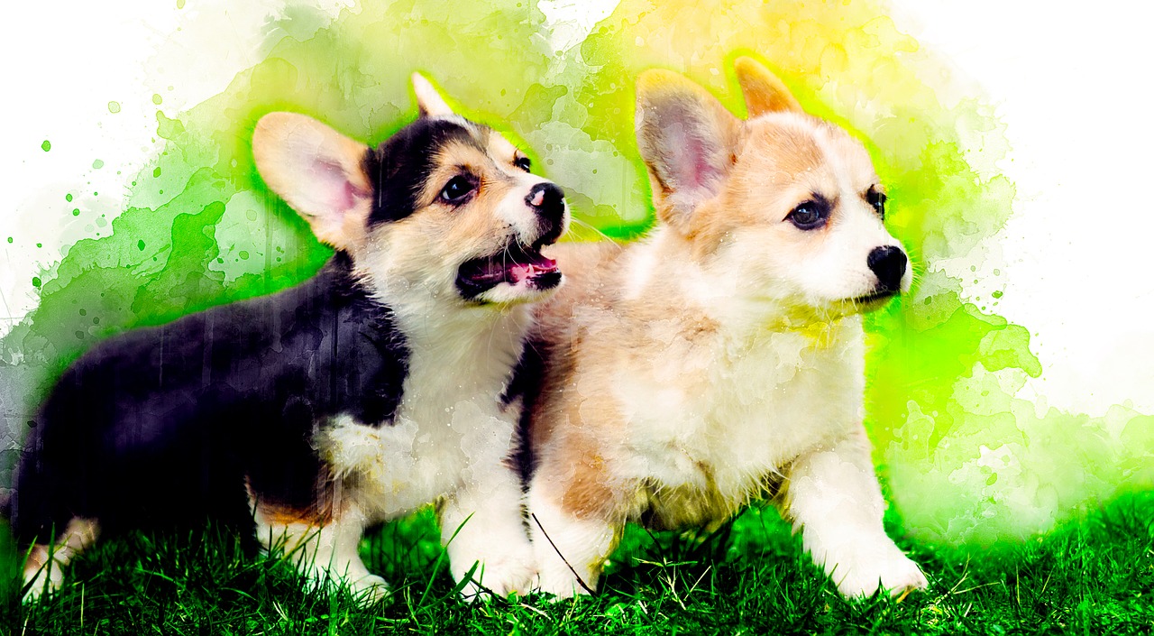 watercolor  dog  animal free photo