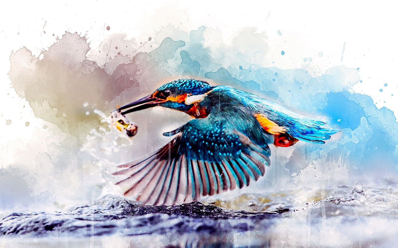 watercolor  kingfisher  bird free photo