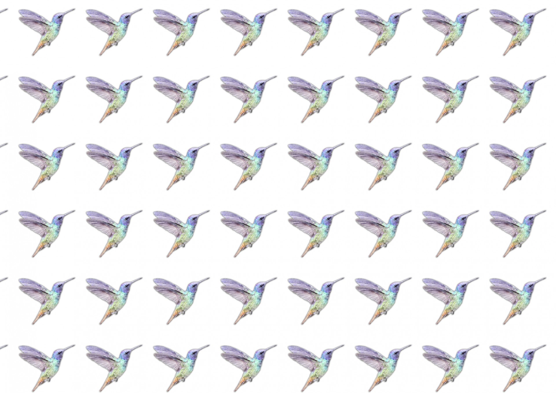 watercolor hummingbird paper hummingbird birds free photo