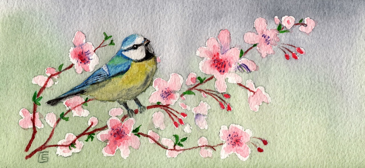 watercolour tit birds free photo