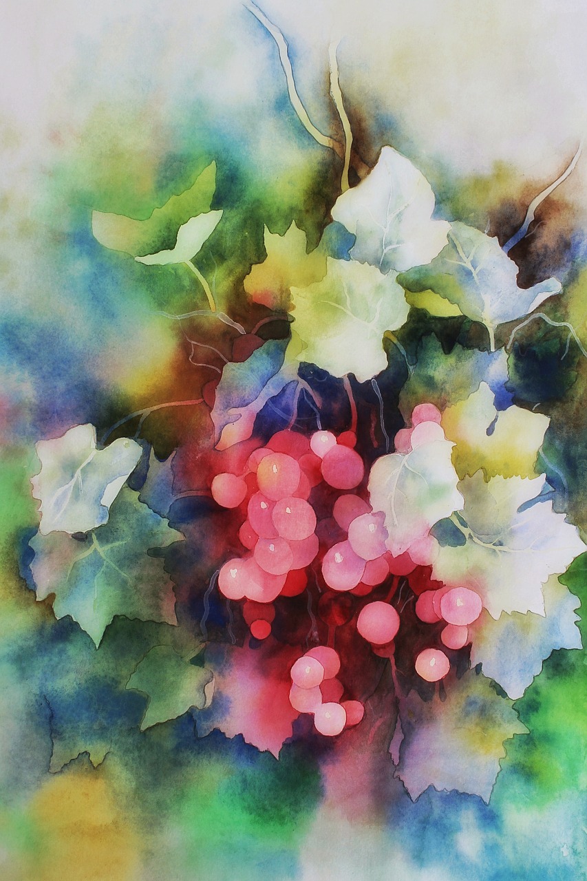 watercolour  berries  painting free photo