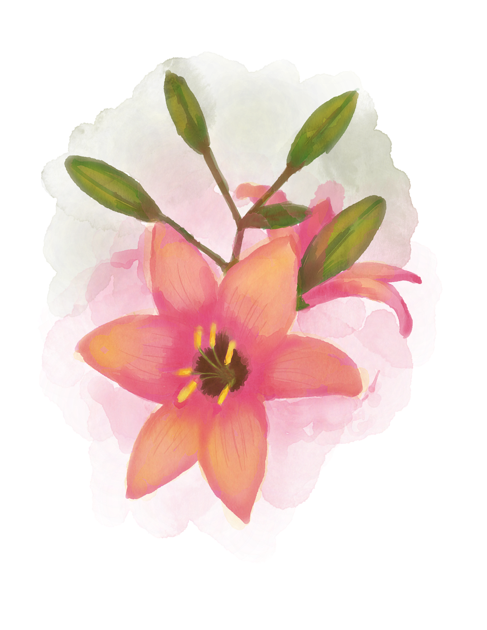 watercolour flower  bouquet  floral free photo