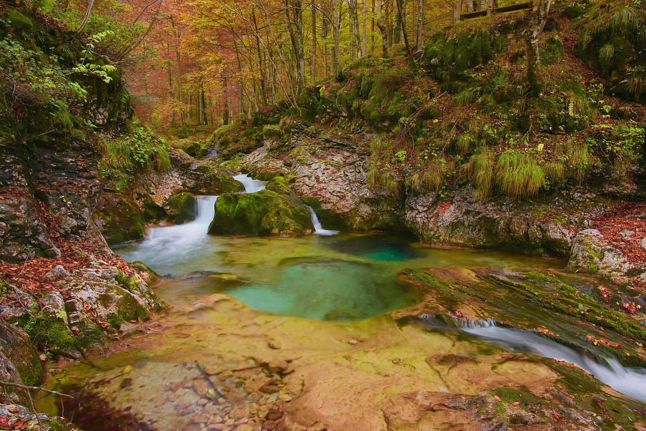 watercourse autumn water free photo