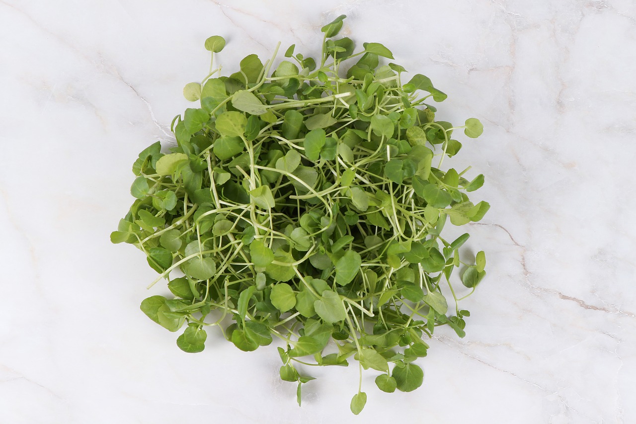 watercress  crazy la  cresson free photo