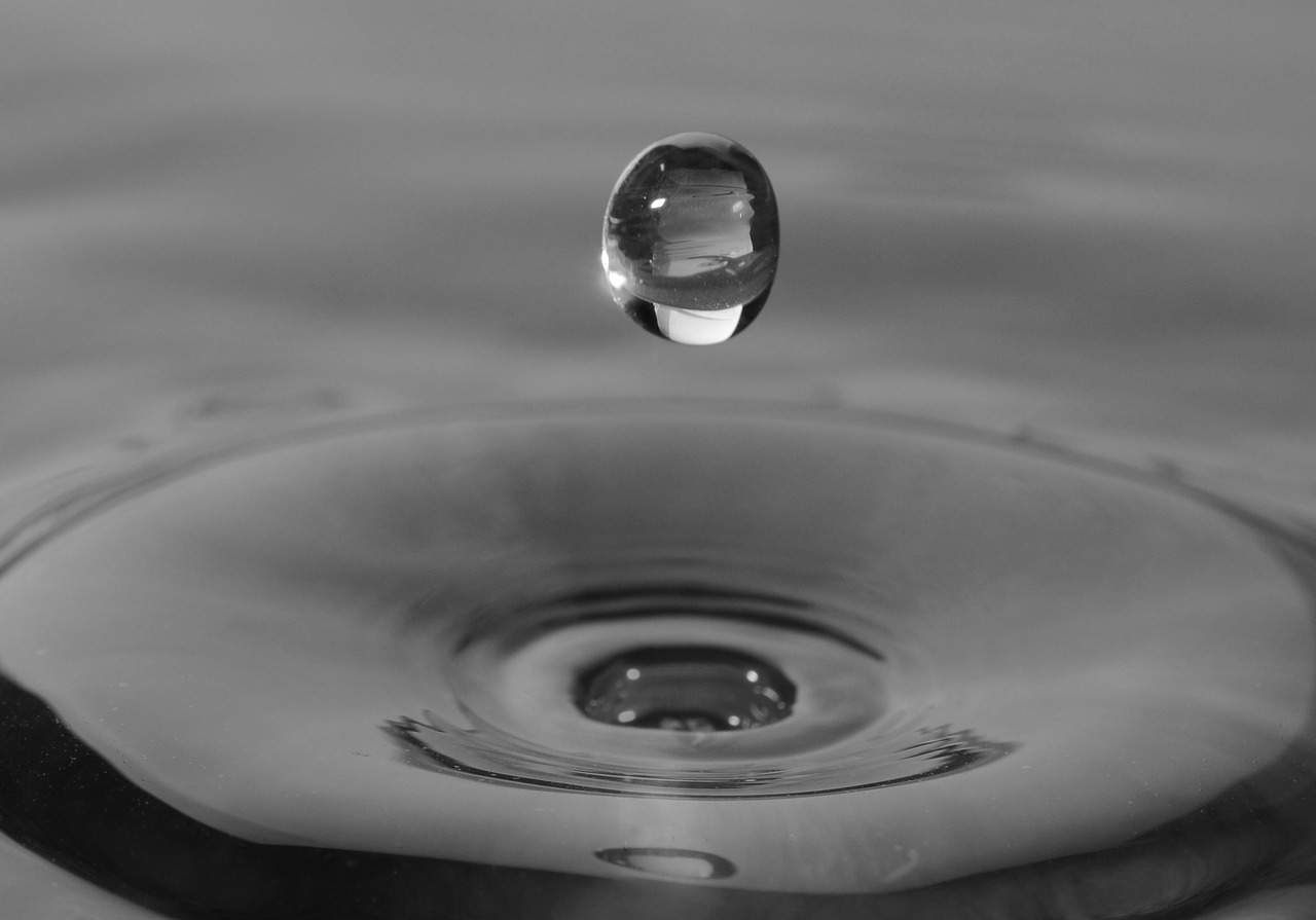 waterdrop drop water free photo
