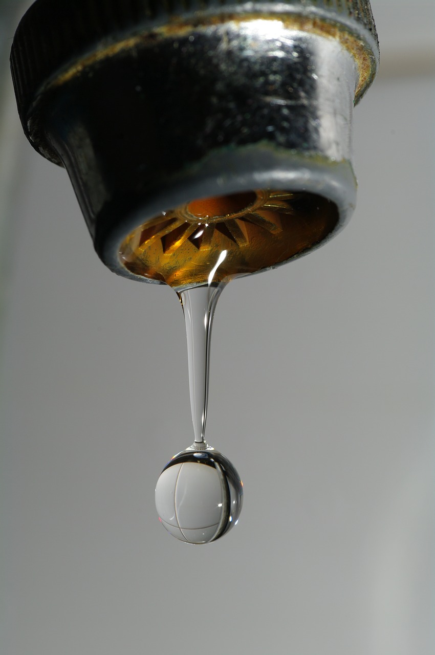 waterdrop droplet water free photo