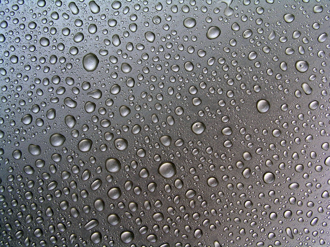 waterdrops background texture free photo