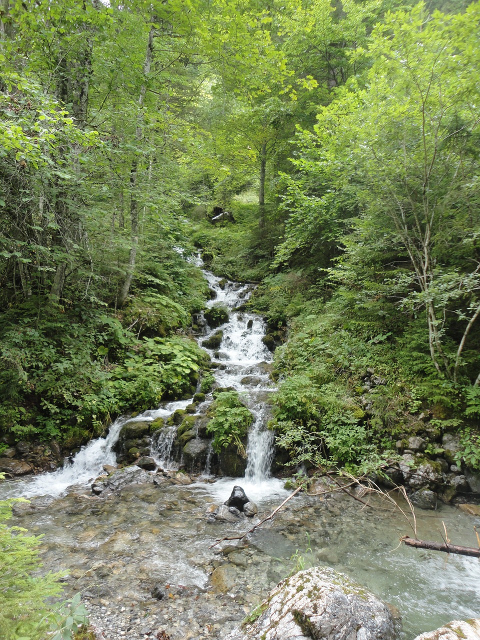 waterfall bach forest free photo