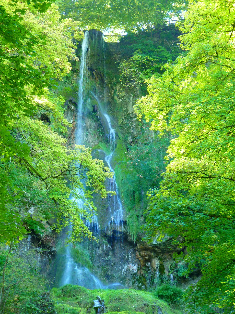 waterfall,urach waterfall,water,forest,urach,trees,green,swabian alb,alb,alb eaves,free pictures, free photos, free images, royalty free, free illustrations, public domain