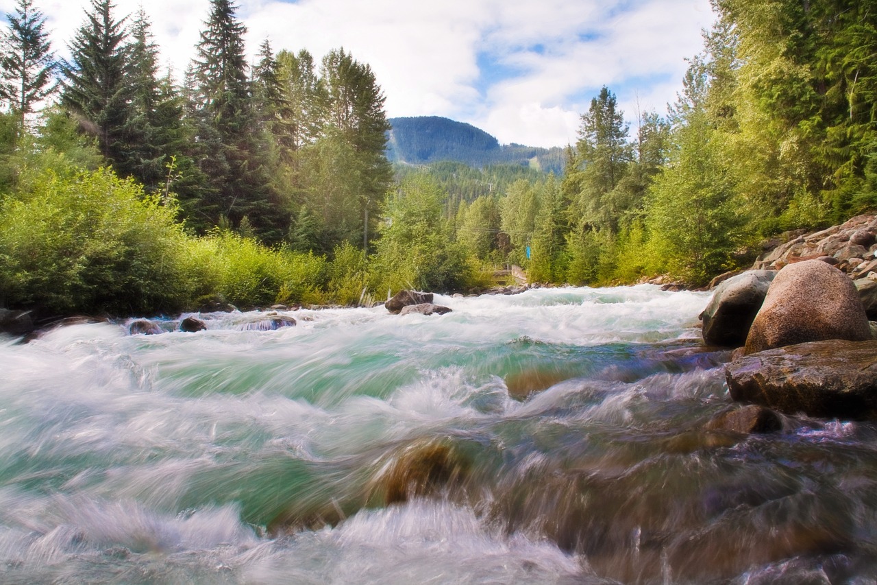 waterfall creek running water free photo