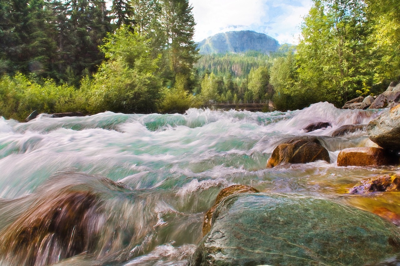 waterfall creek running water free photo