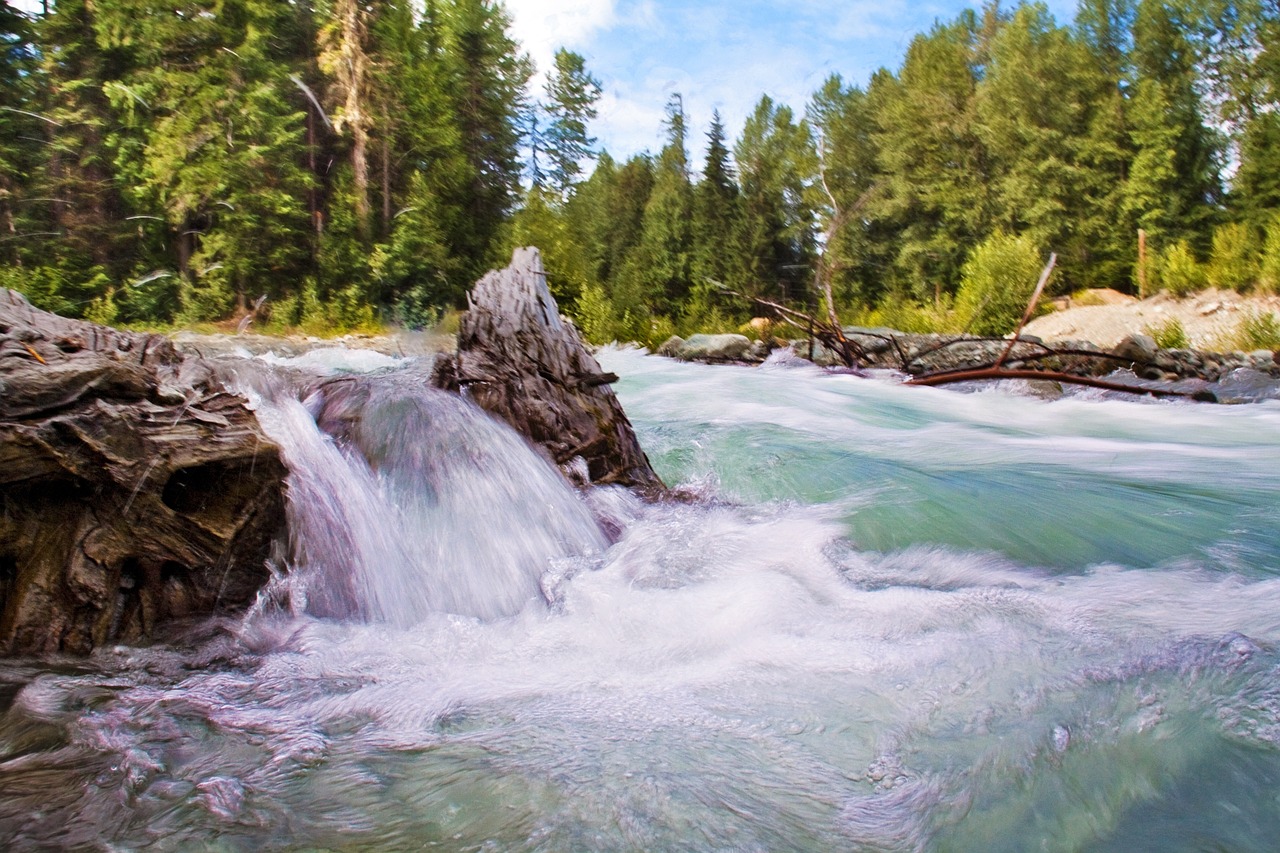 waterfall creek running water free photo