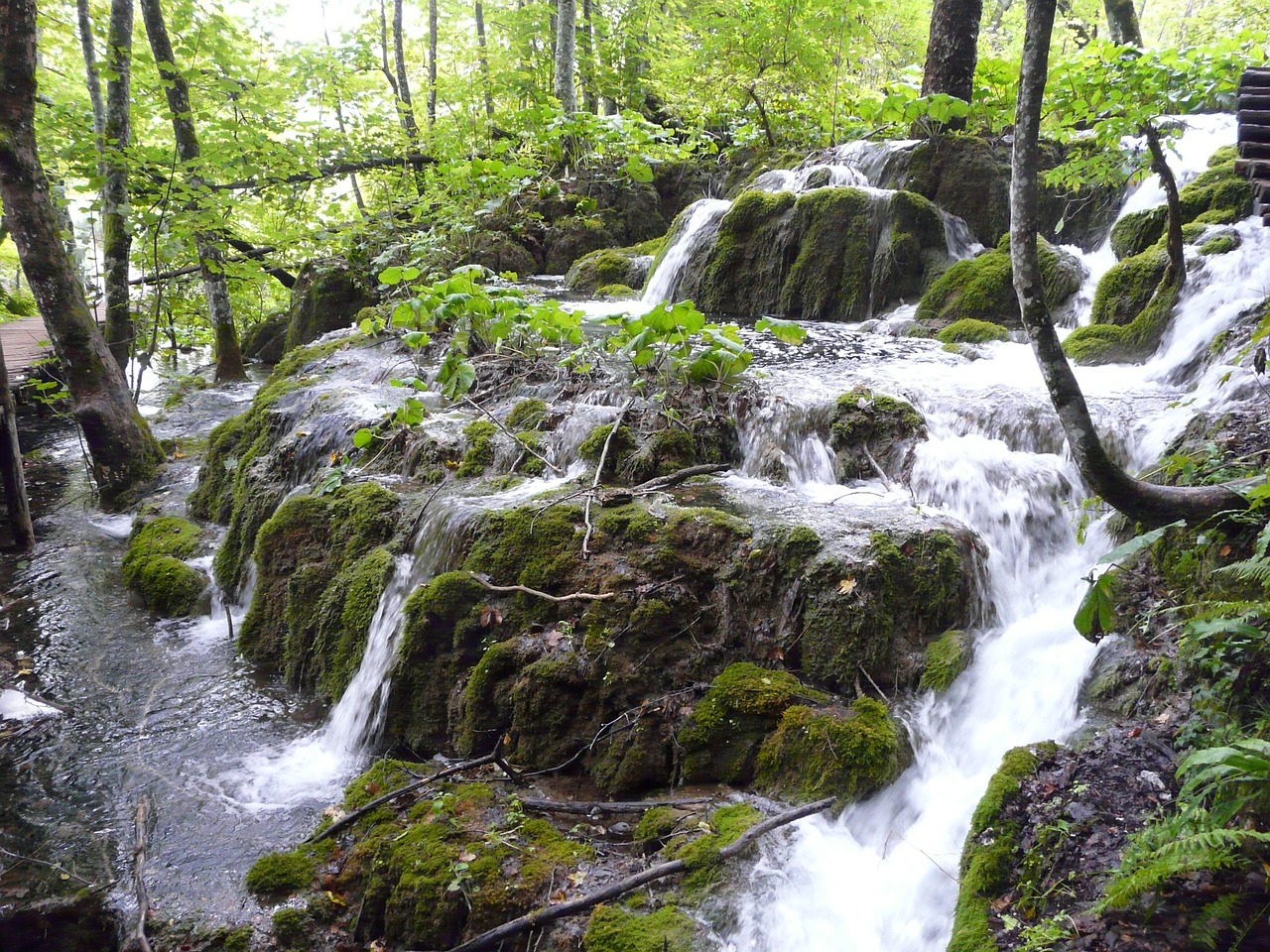 waterfall nature croatia free photo