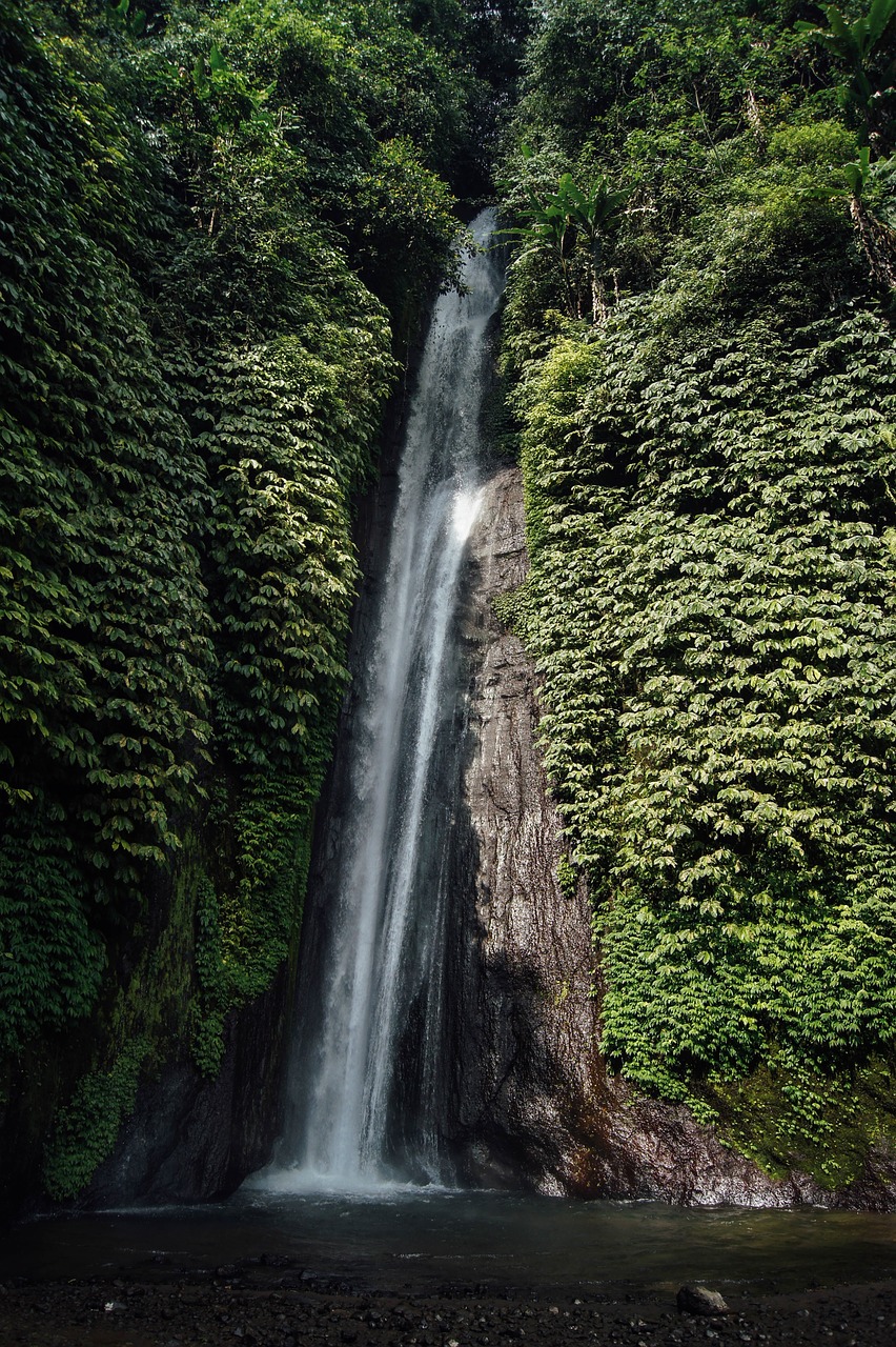 waterfall nature forest free photo