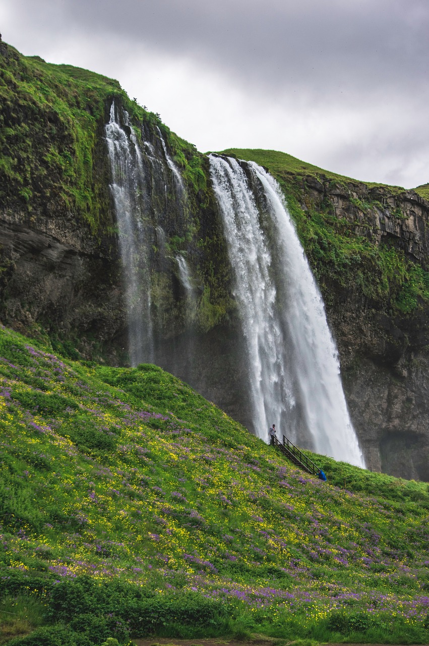 waterfall spring green grass free photo