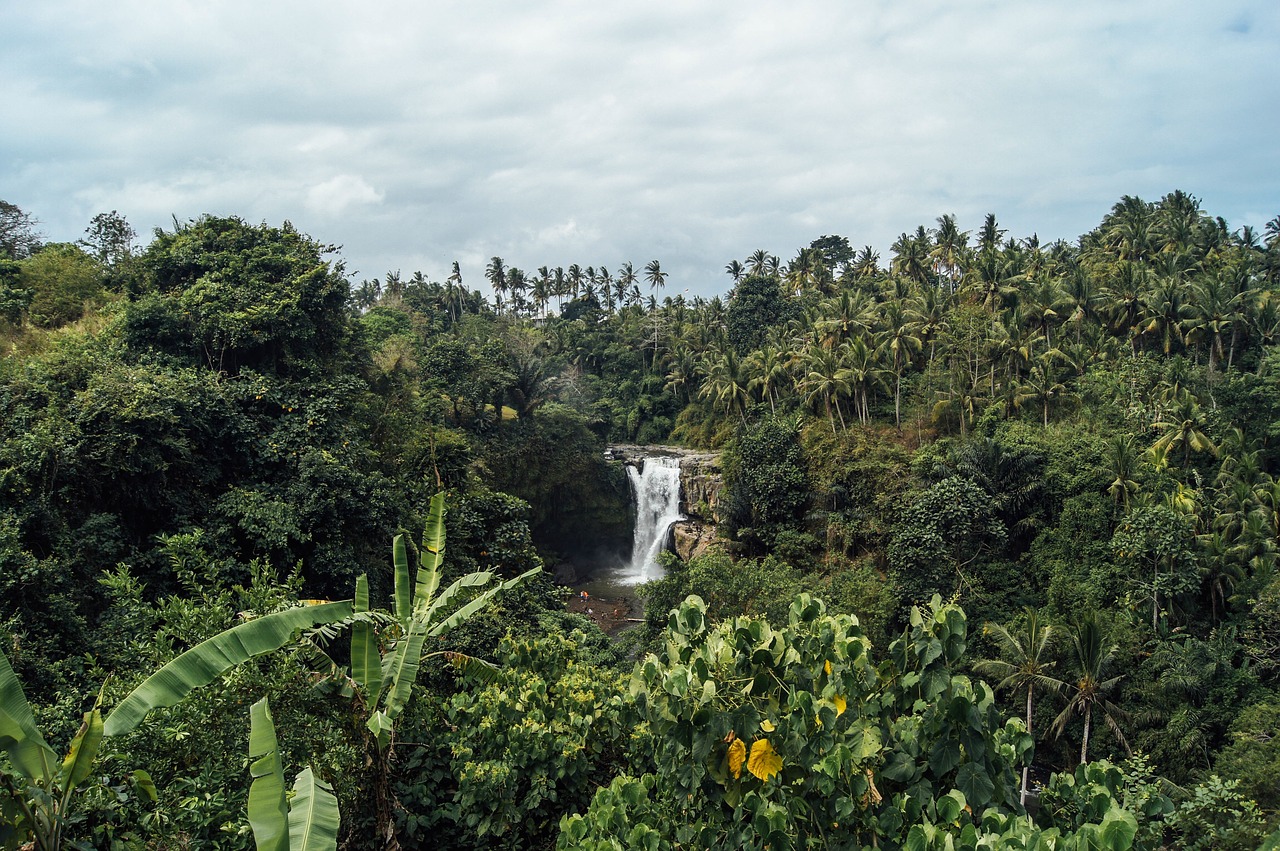 waterfall greenery nature free photo