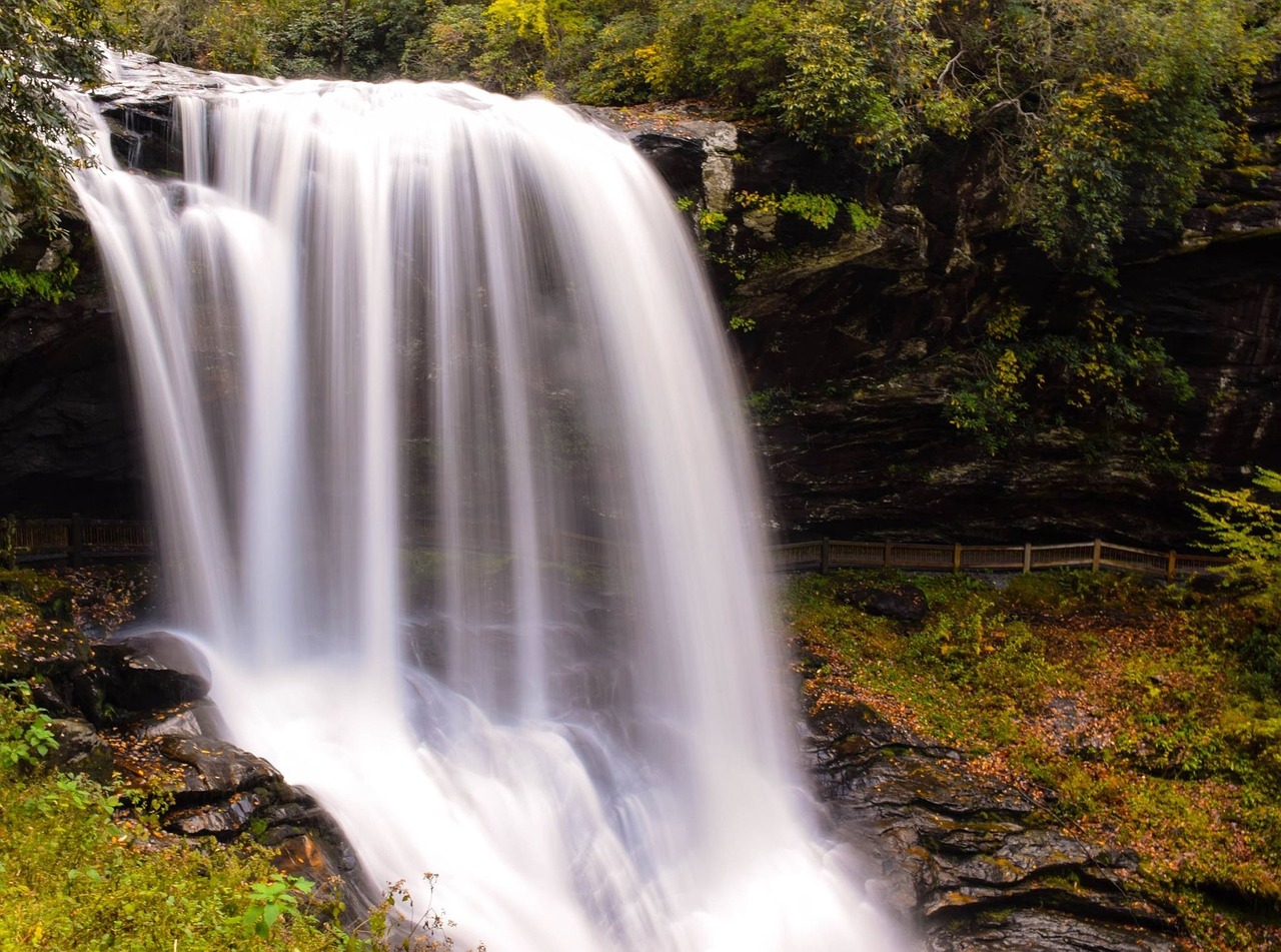 waterfall nature trees free photo